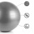 М'яч для фітнесу (фітбол) Springos 75 см Anti-Burst FB0003 Grey