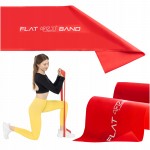 Лента-эспандер для спорта и реабилитации 4FIZJO Flat Band 30 м 2-4 кг Red (P-5907739311177)