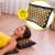 Килимок акупунктурний з подушкою Cornix Premium Mat Аплікатор Кузнєцова XR-0562 Black/Gold Килимок акупунктурний з подушкою Cornix Premium Mat Аплікатор Кузнєцова XR-0562 Black/Gold