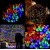 Гірлянда на батарейках Springos 5 м 50 LED 8 режимів CL4107 Mix