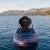 Сидіння для SUP дошки Aquaget знімне AQ0049 Black Сидіння для SUP дошки Aquaget знімне AQ0049 Black