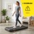 Беговая дорожка для ходьбы Cornix Lexi Walking Pad с функцией вибрации Black