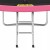 Батут із внутрішньою сіткою 4FIZJO PRO 8FT 252 см Black/Pink (P-5907739314550)